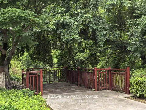 林间平台
