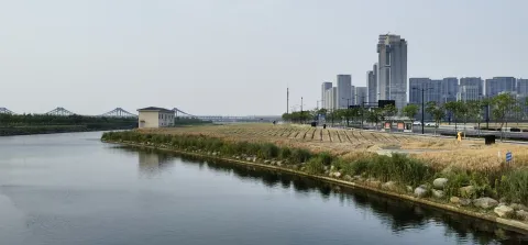 望亚运村方向的景色