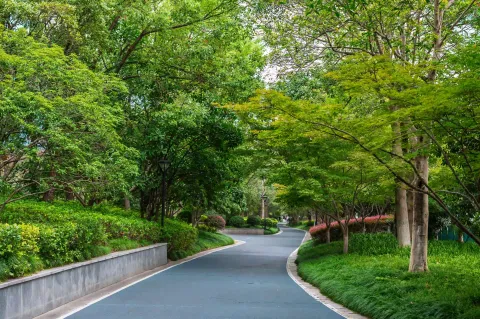 城市绿道，林间漫行