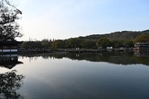 曲渡清波
