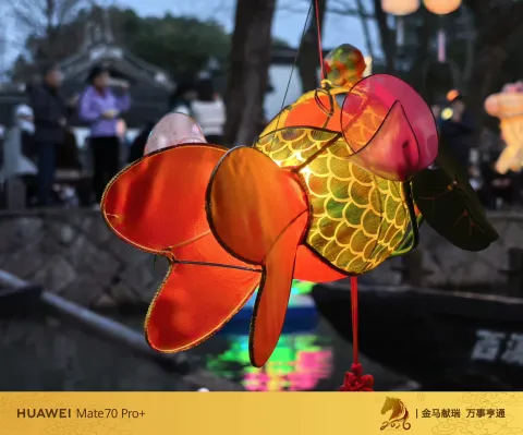 精致金鱼花灯