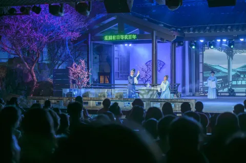 《沈园之夜》