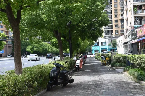 夏日街头随拍