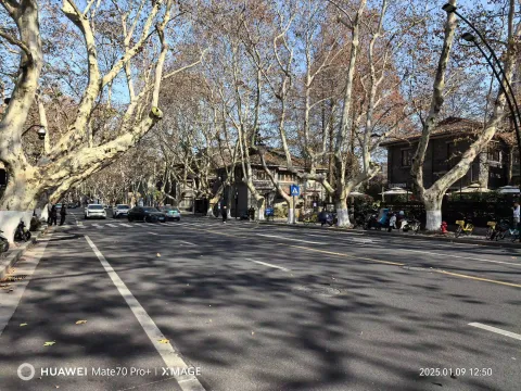 钱王祠外南山路的景