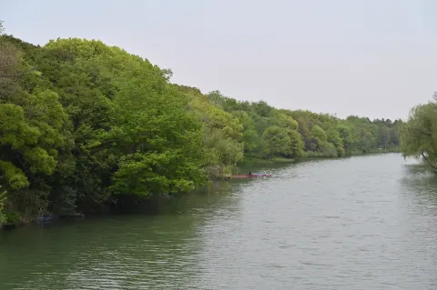 西溪湿地