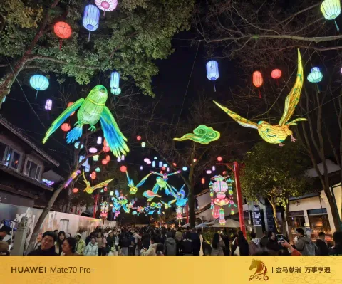 街巷上空群鸟花灯