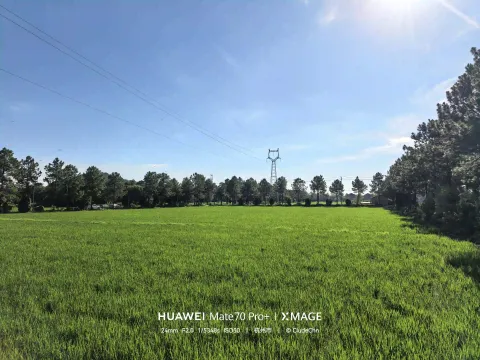 晴光漫过青禾原野