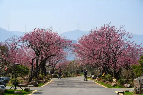 走道两侧景色