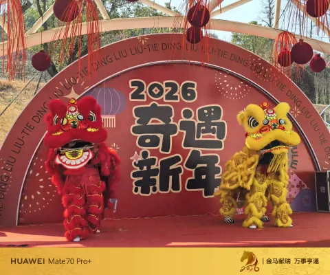 双狮献瑞