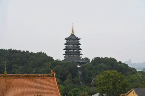 林间遥望雷峰塔