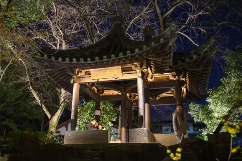 沈园夜景