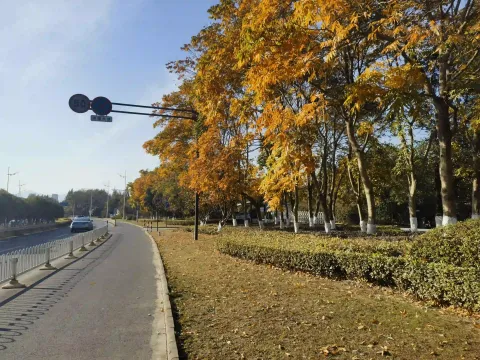 环太湖路边的秋色