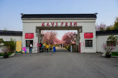 龙之梦东方盆景园