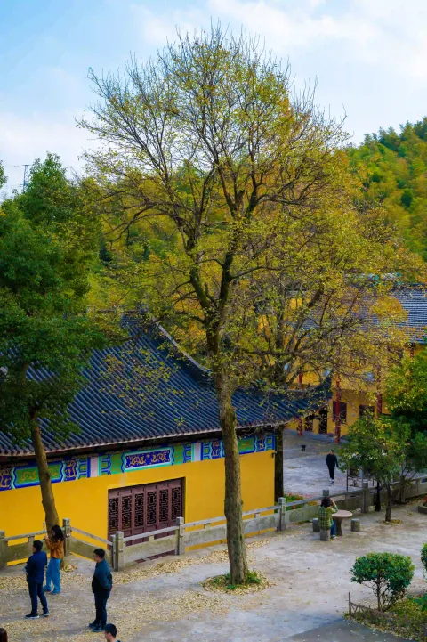 寺内的美景