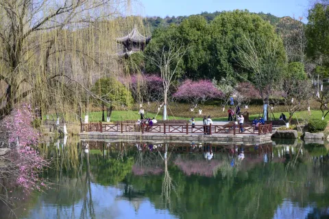 水岸边景色