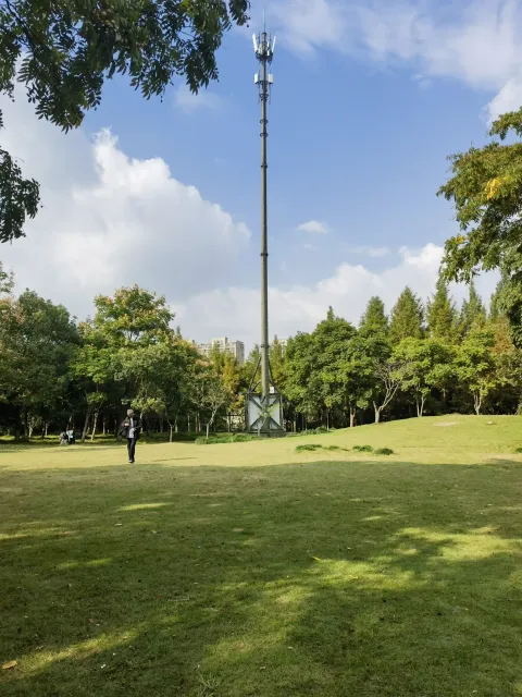 蔚蓝天空下的信号塔