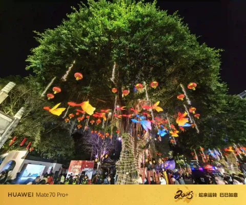 榕悬彩鱼灯，岁夜闹坊巷