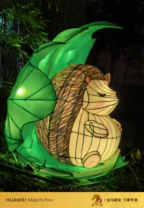 蜷在大绿叶里安睡的刺猬彩灯