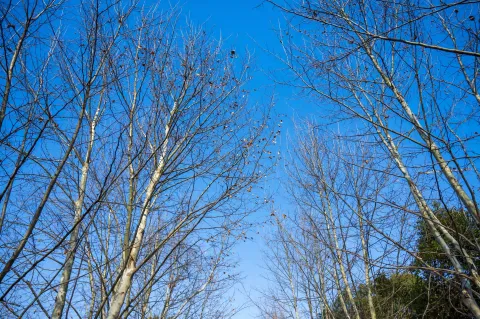 蔚蓝的天空