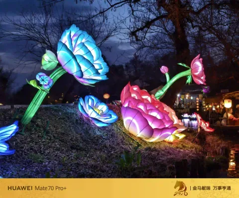 牡丹花灯