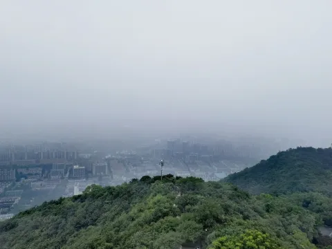 雾气中显现的城市