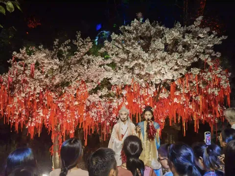 姻缘树下