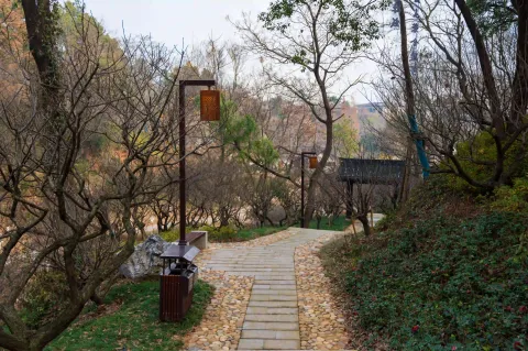 清净的爬山走道