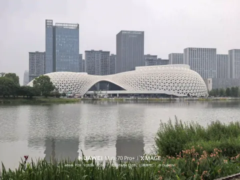 金沙湖大剧院远景