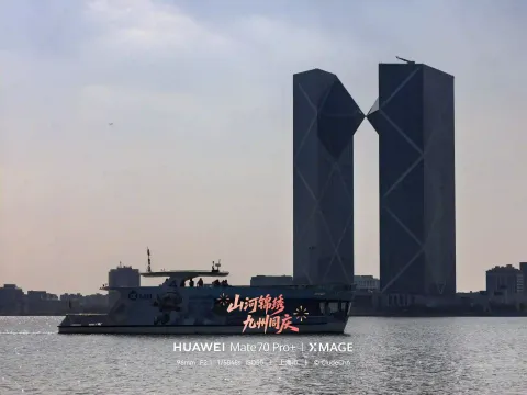 游船与双子塔同框