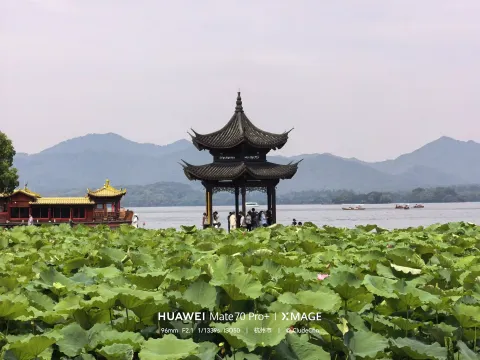 荷风伴古亭