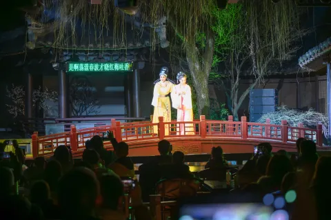 《沈园之夜》