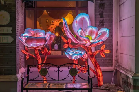 夜色里绽放的玉兰花灯