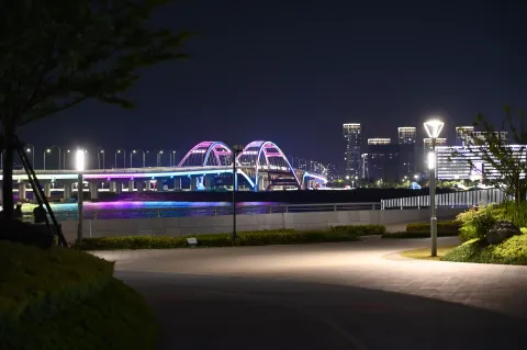 远处的新城大桥