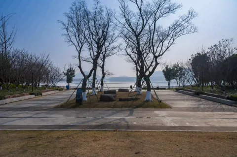 西山漾湿地