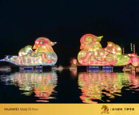 水面鸳鸯彩灯