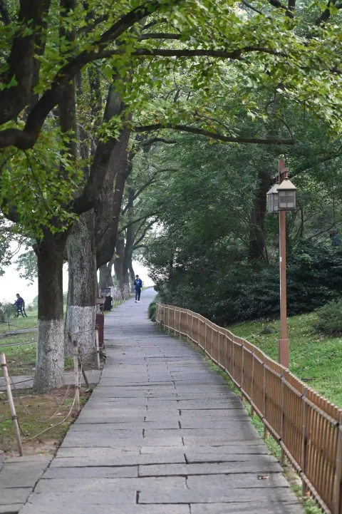 林间石板步道