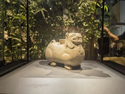 陶器文物展览