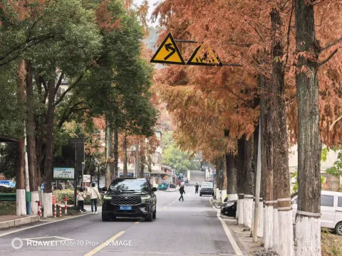 秋日的街道