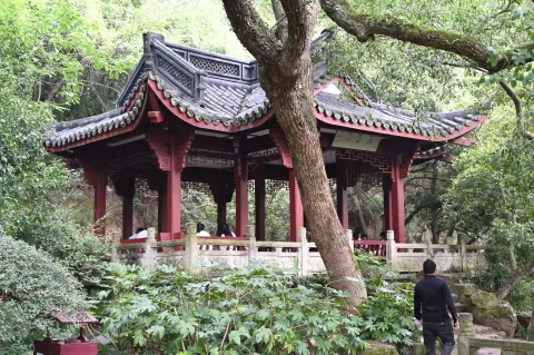林间休憩亭