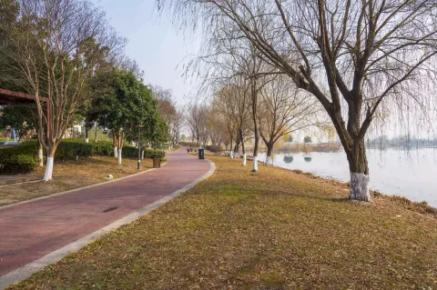 湖岸边的走道