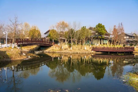 小河对岸的景色