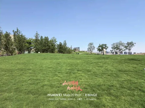 滴水湖边大草坪