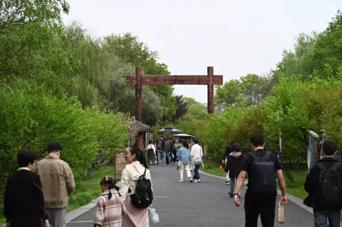 西溪湿地