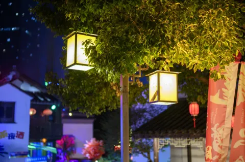 树下的路灯