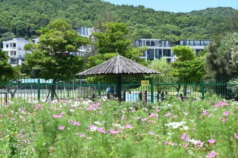 花海边的小亭