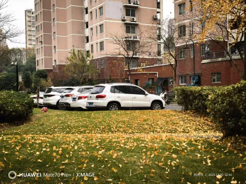 满地秋痕