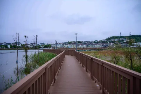穿行苇塘的景观栈道