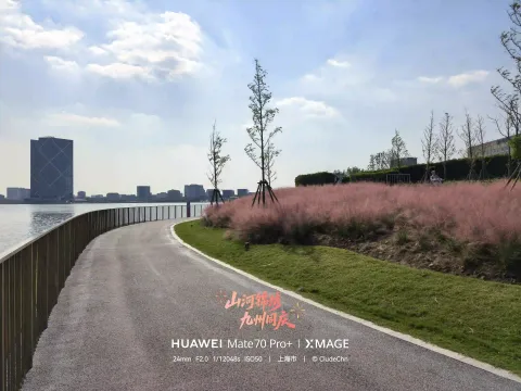 湖畔粉黛步道