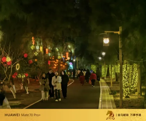 林间彩灯步道
