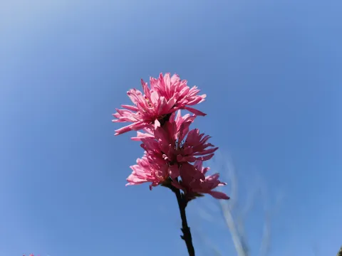 蔚蓝的天空